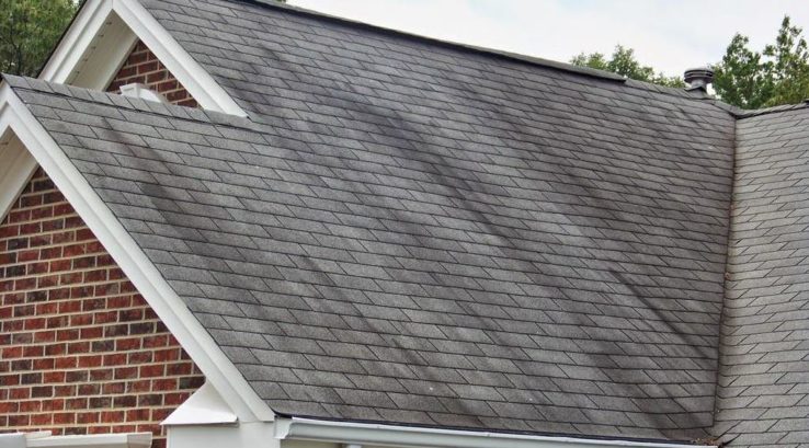 Why Roofs Turn Black in Louisiana (And How Soft Washing Fixes&nbsp;It)